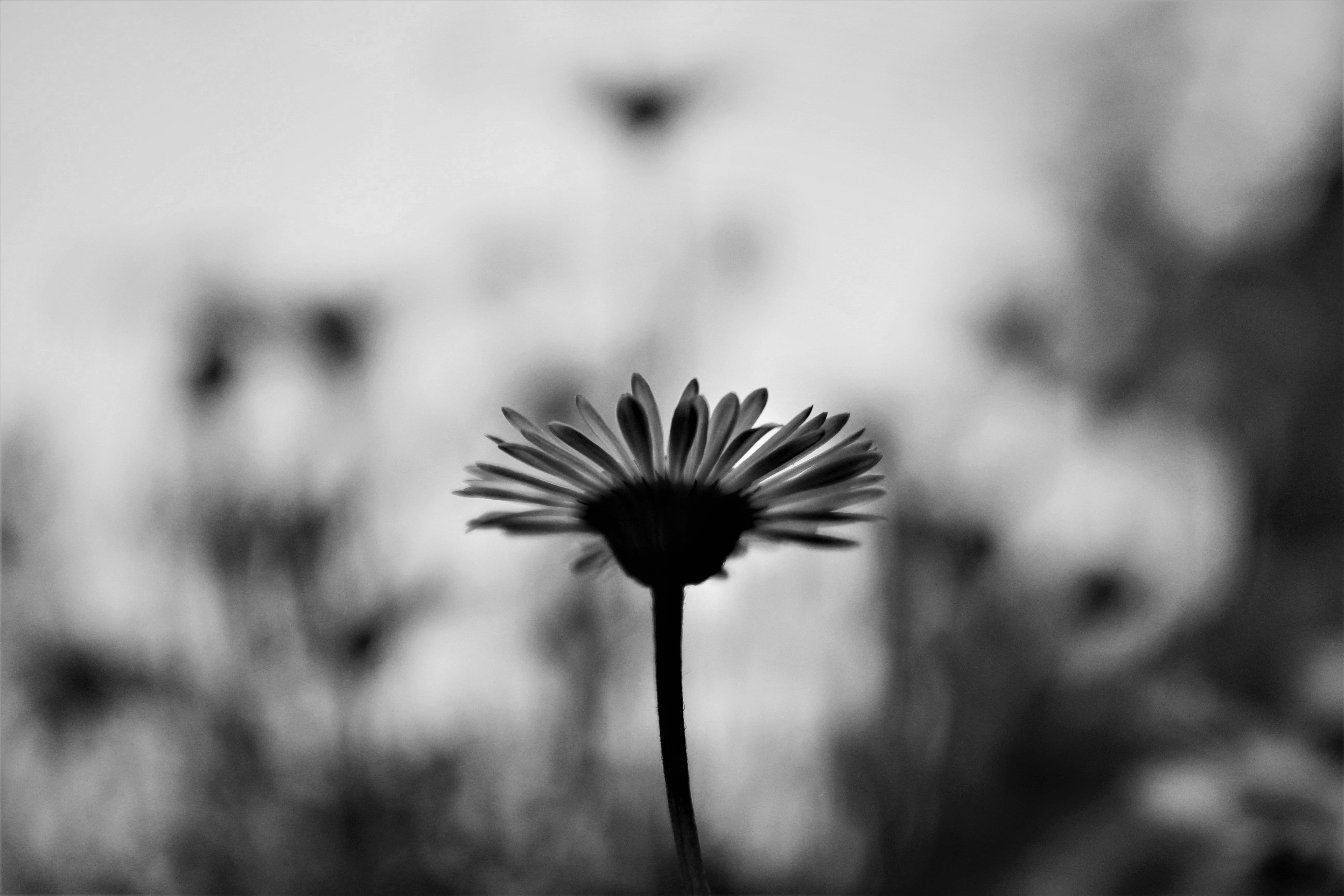 Photo by scottkelley