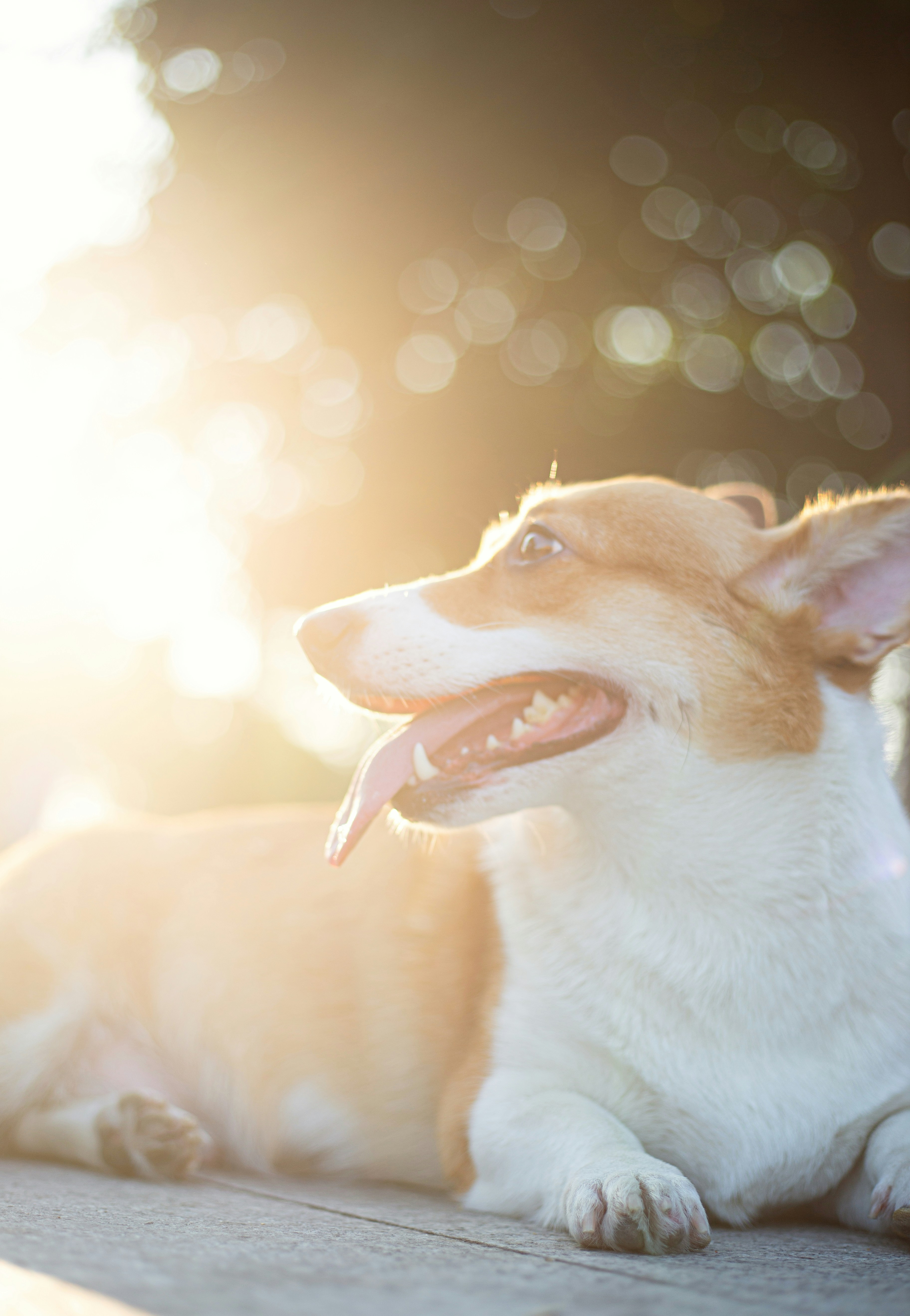 Photo by vinomamba24