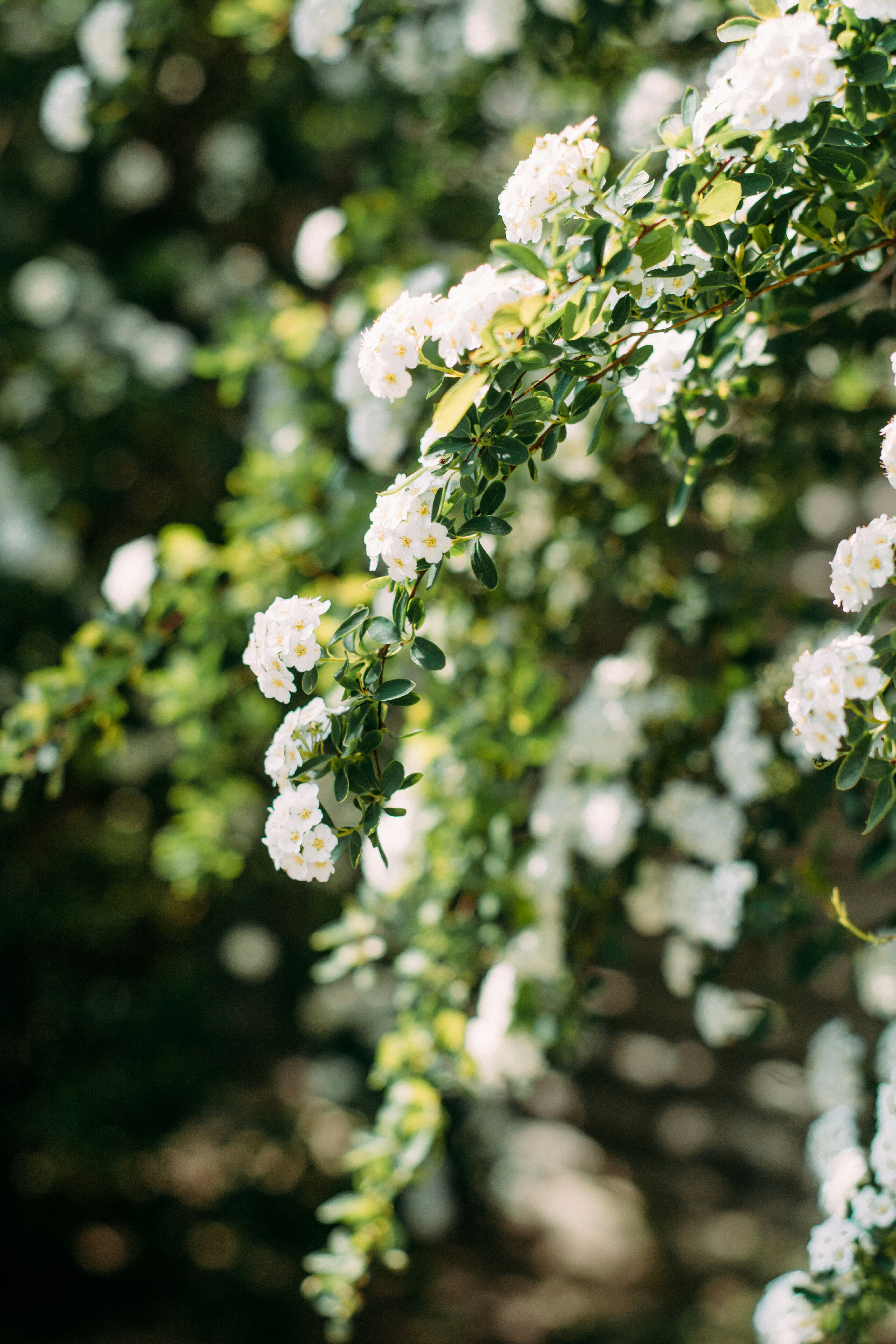 Photo by eugenivy_now