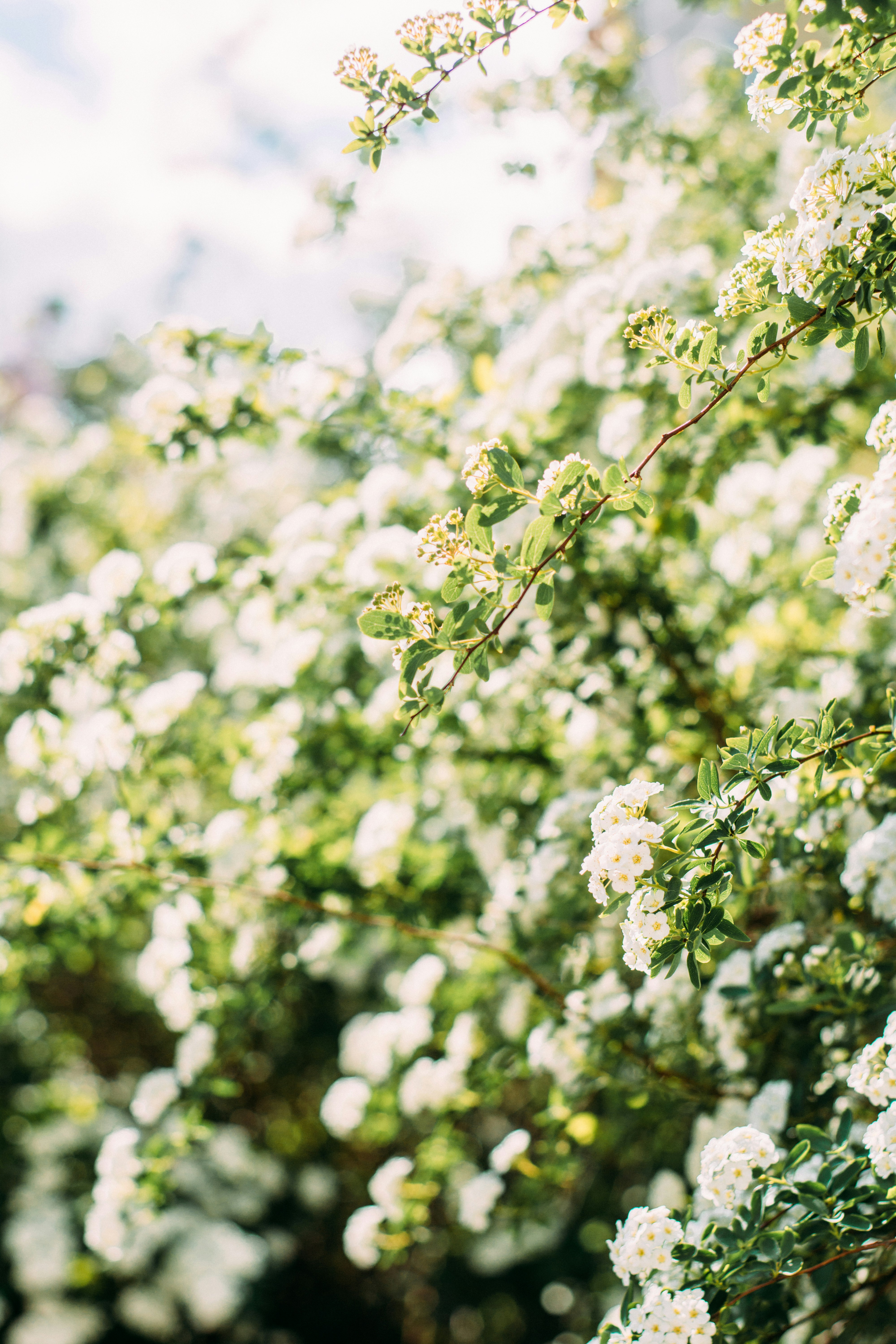 Photo by eugenivy_now