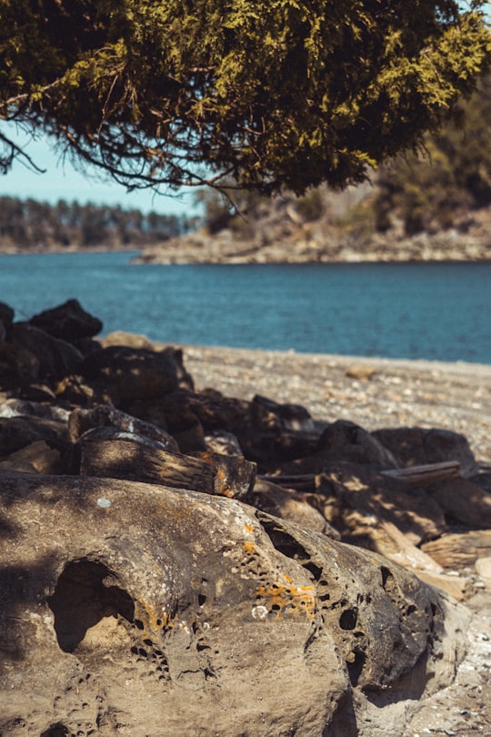 brown and black rocks near body of water during daytime in Southern Gulf Islands Canada