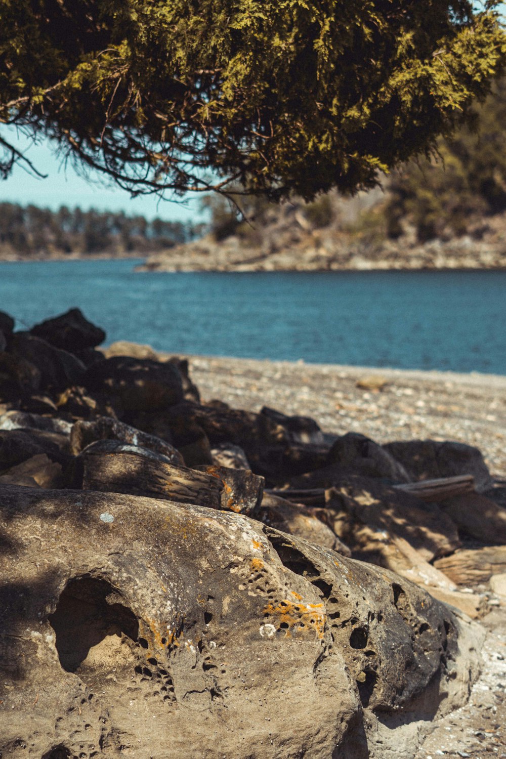 roches brunes et noires près du plan d’eau pendant la journée