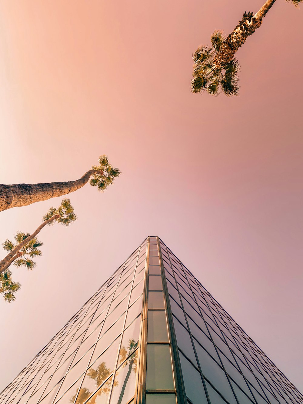 Fotografía de ángulo bajo de edificios de gran altura