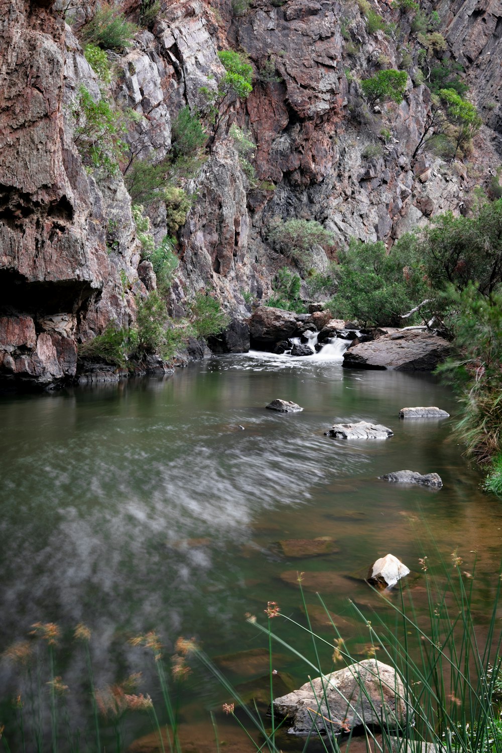 a river running through a lush green forest