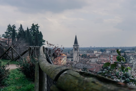 white and brown concrete building near green trees under white sky during daytime in Verona Italy