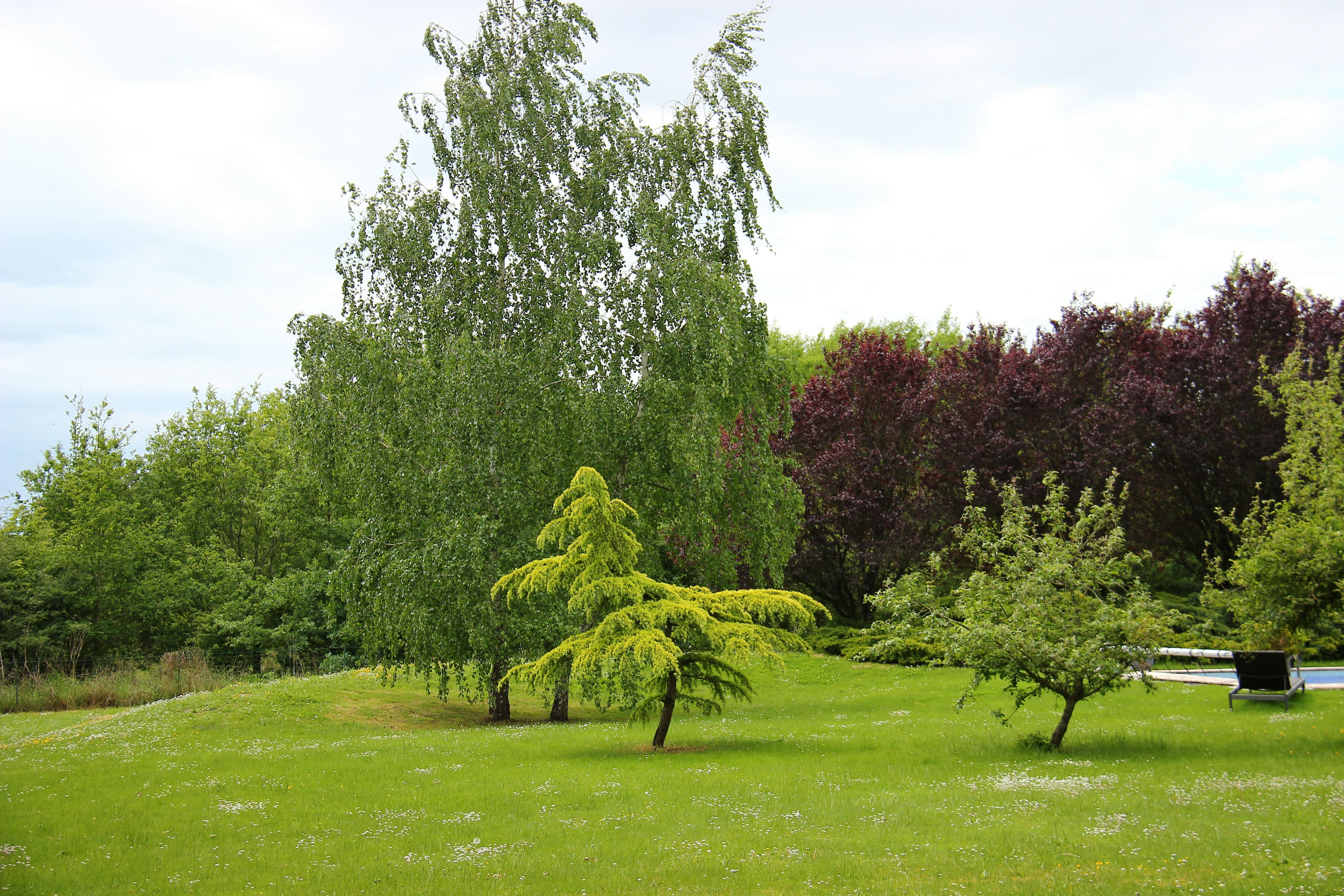 Photo by shalevcohen