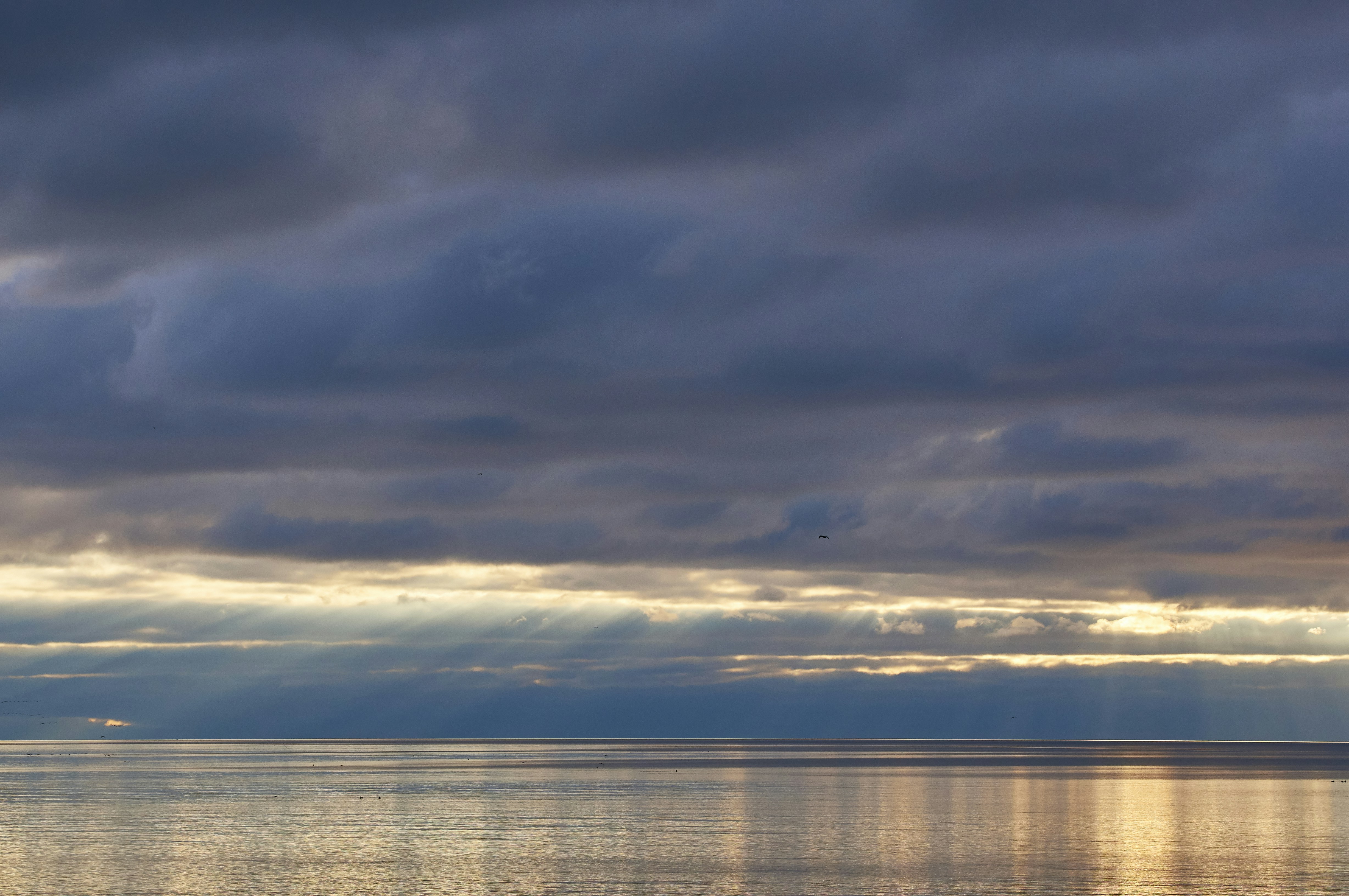 Photo by wolfgang_hasselmann