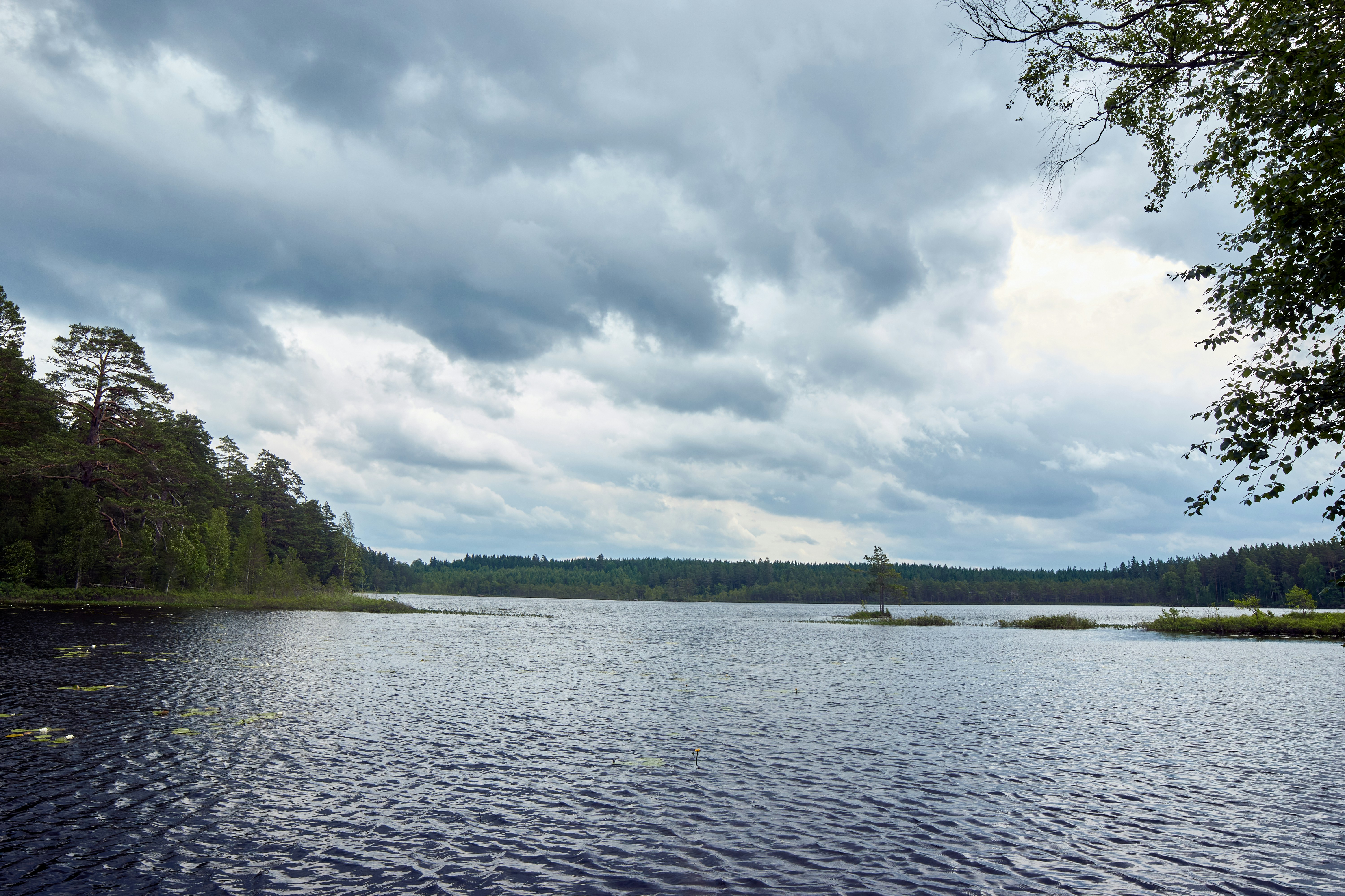 Photo by wolfgang_hasselmann