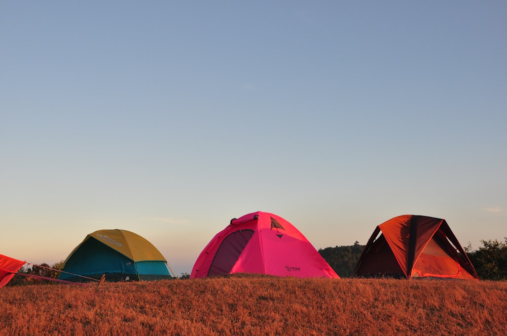 日中の茶色の芝生の上の赤と黄色のドームテント