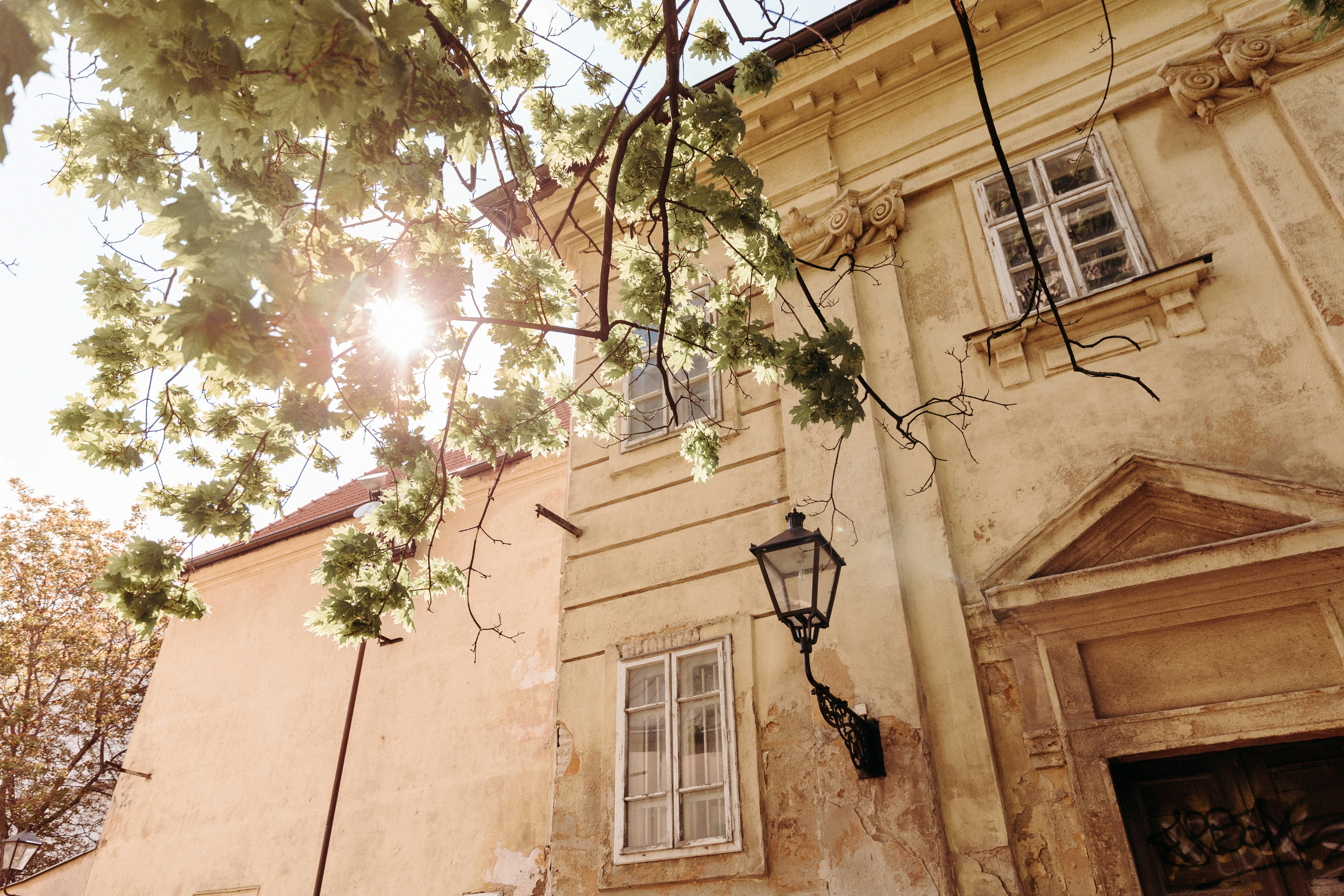 Photo by trnavskauni