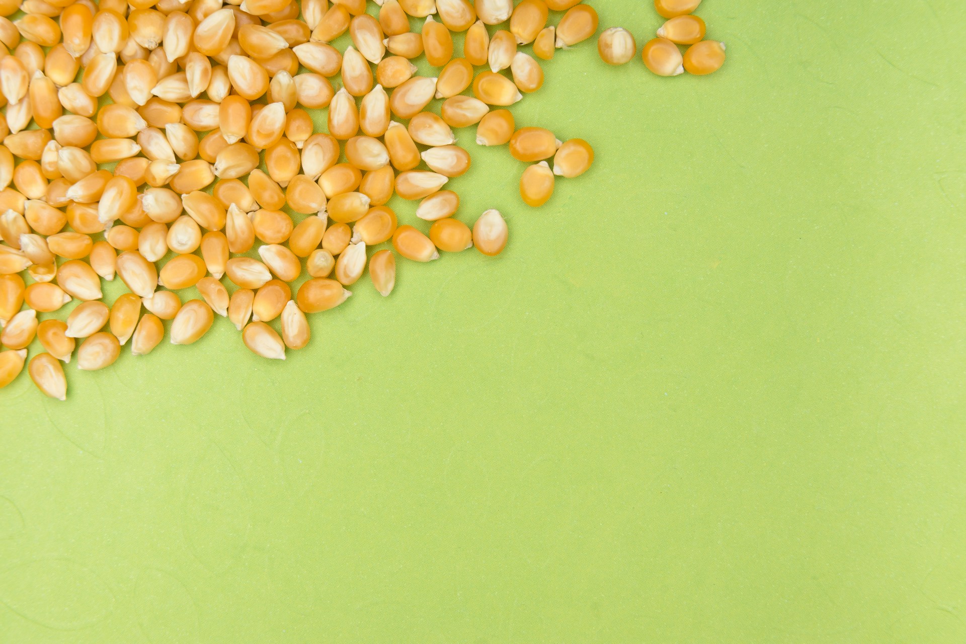 white and brown beans on green surface