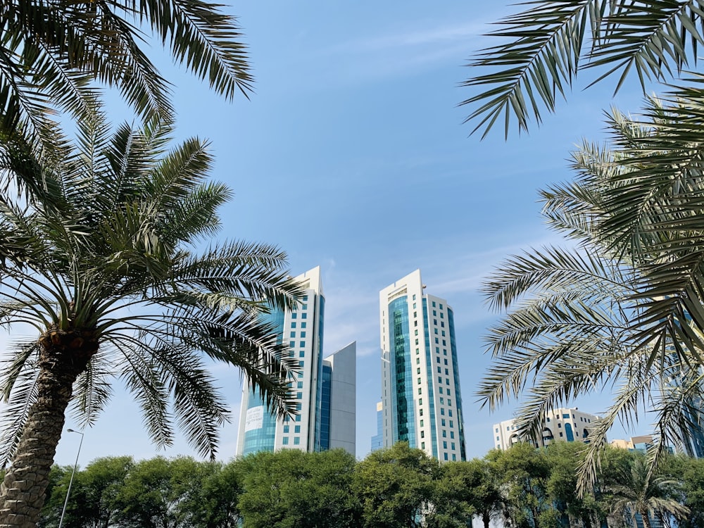 green palm trees near white high rise building during daytime