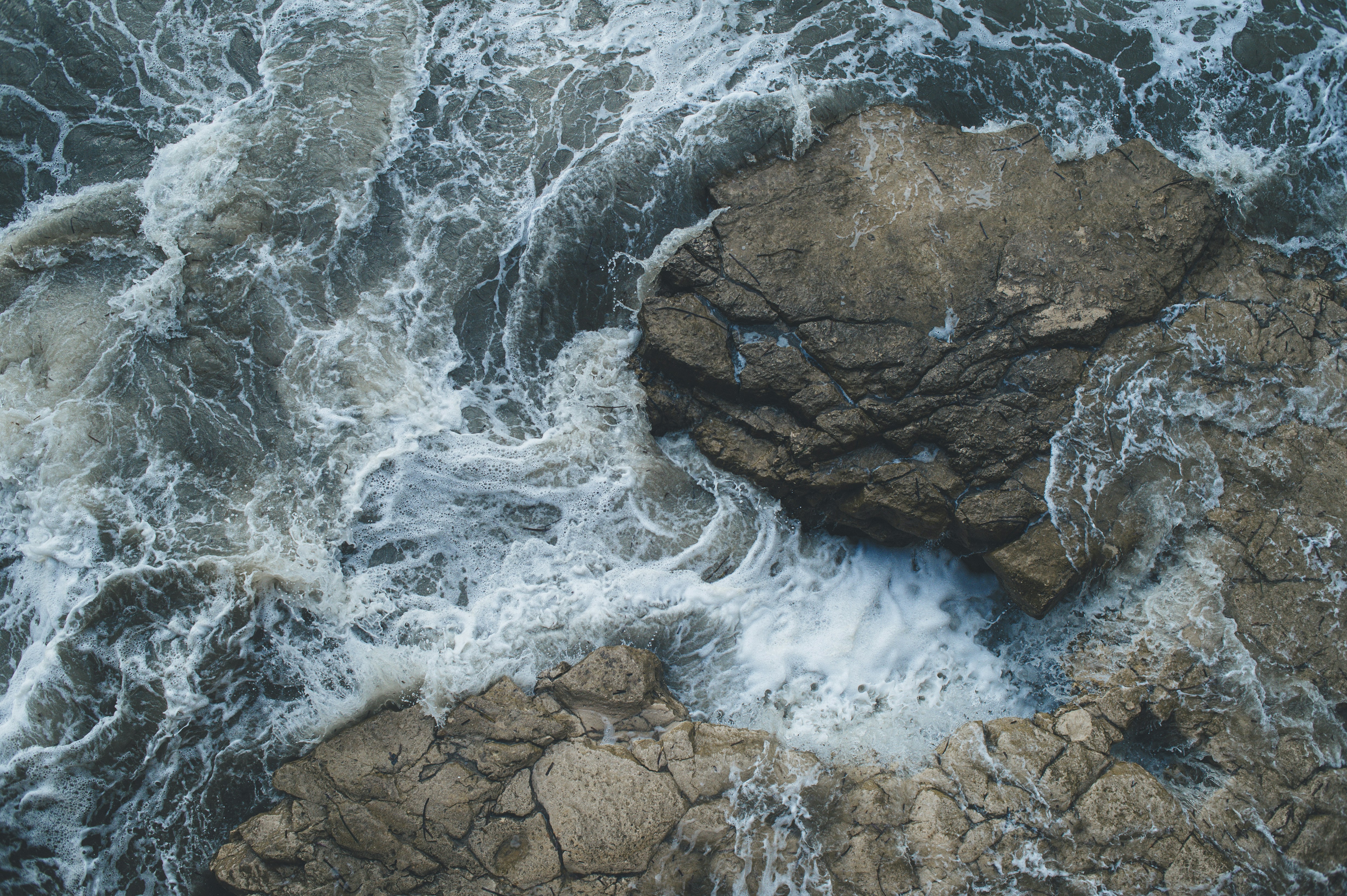 Photo by vonshnauzer