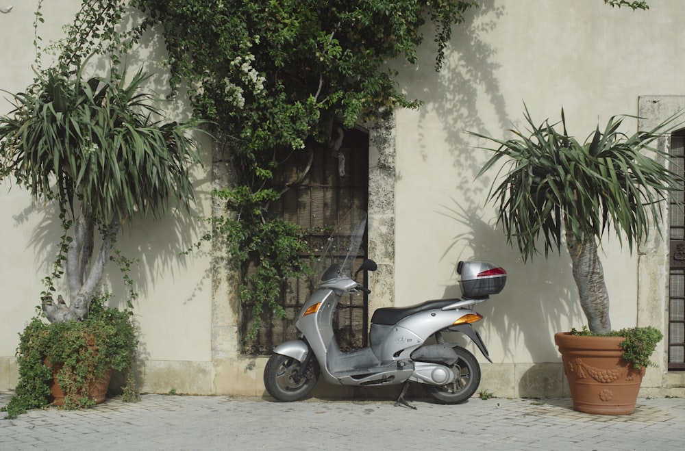 Schwarzer und grauer Motorroller, der tagsüber neben einem grünen Baum geparkt ist