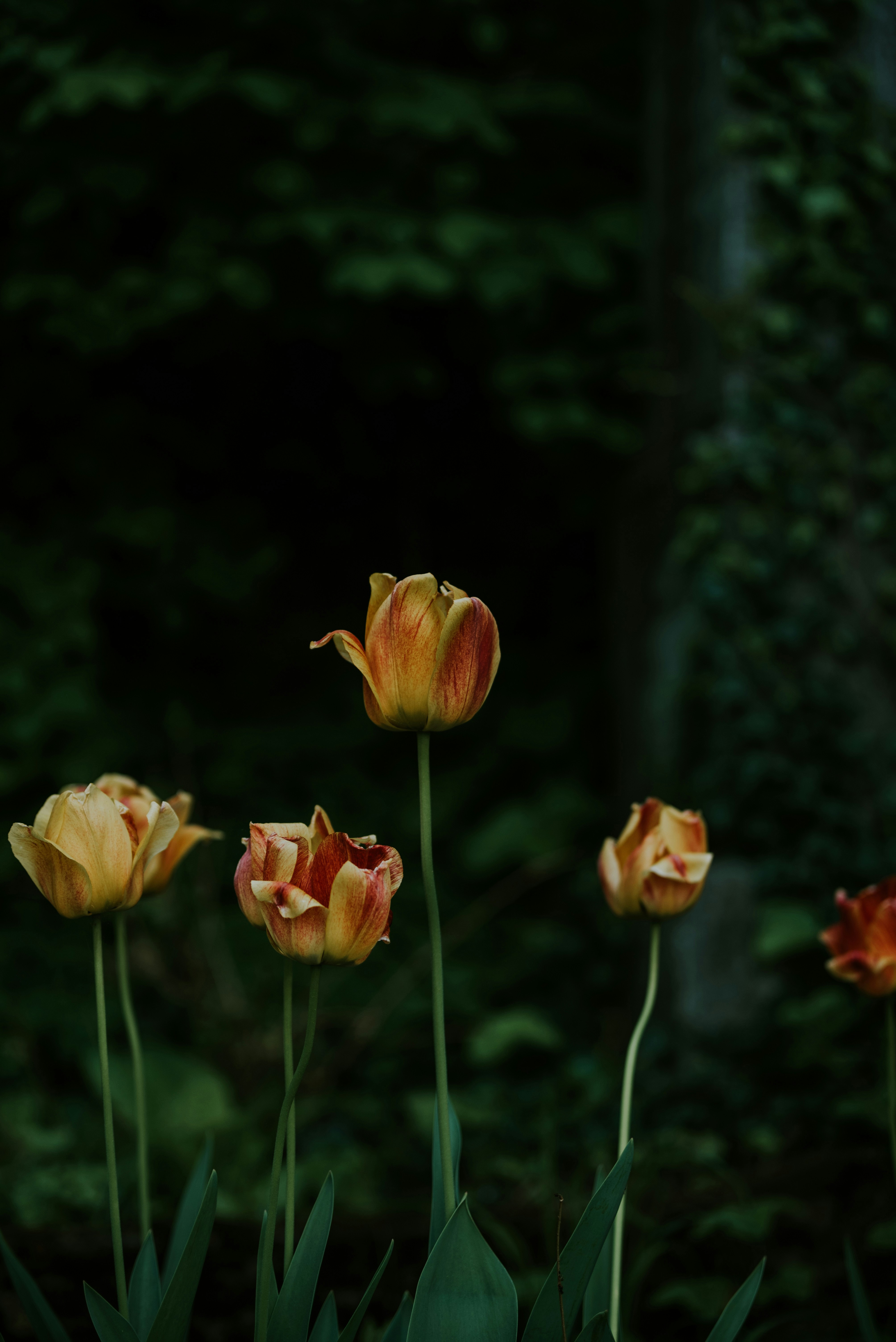 Photo by eduardgross