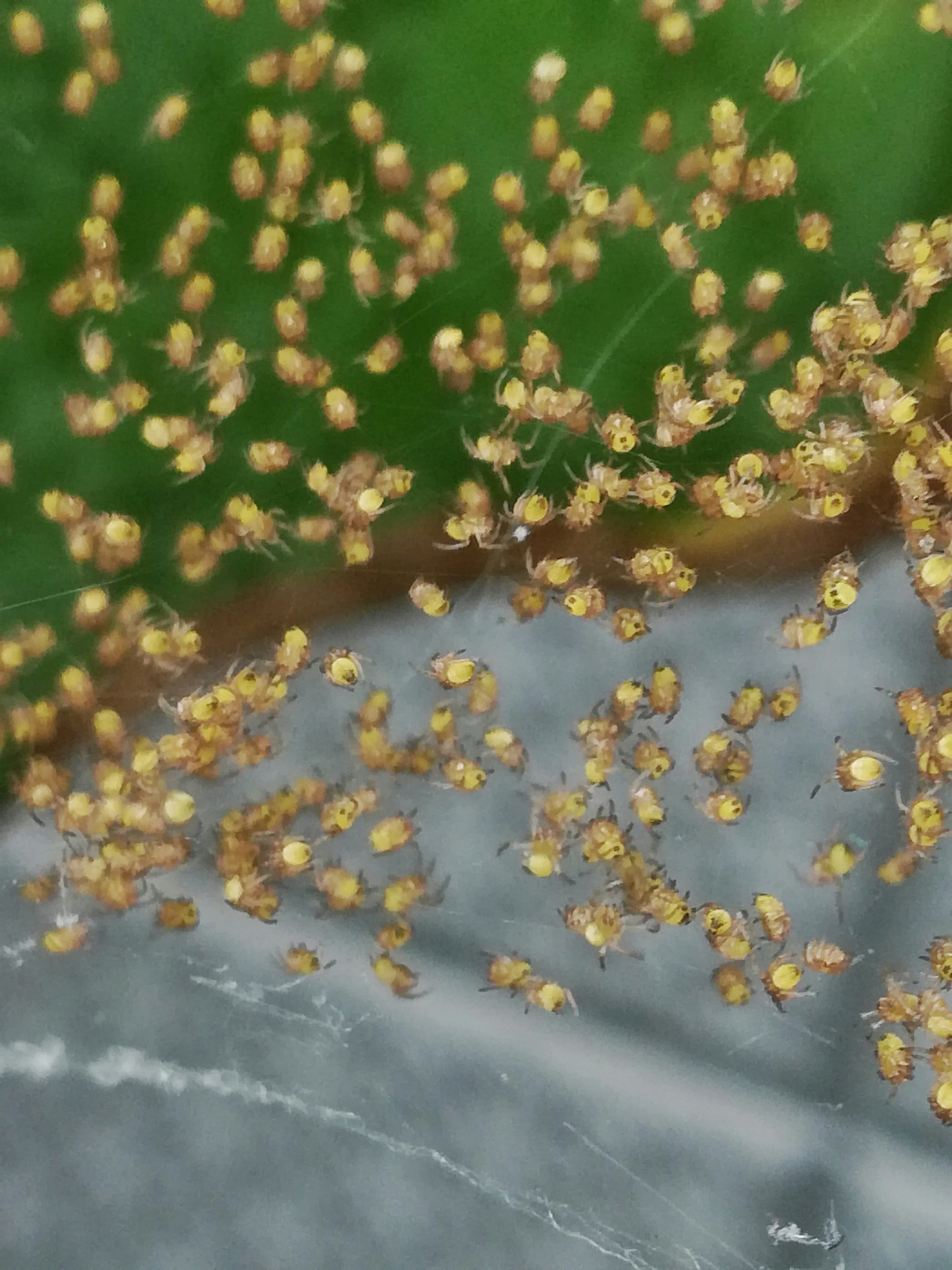 Photo by yogeshthanos1232