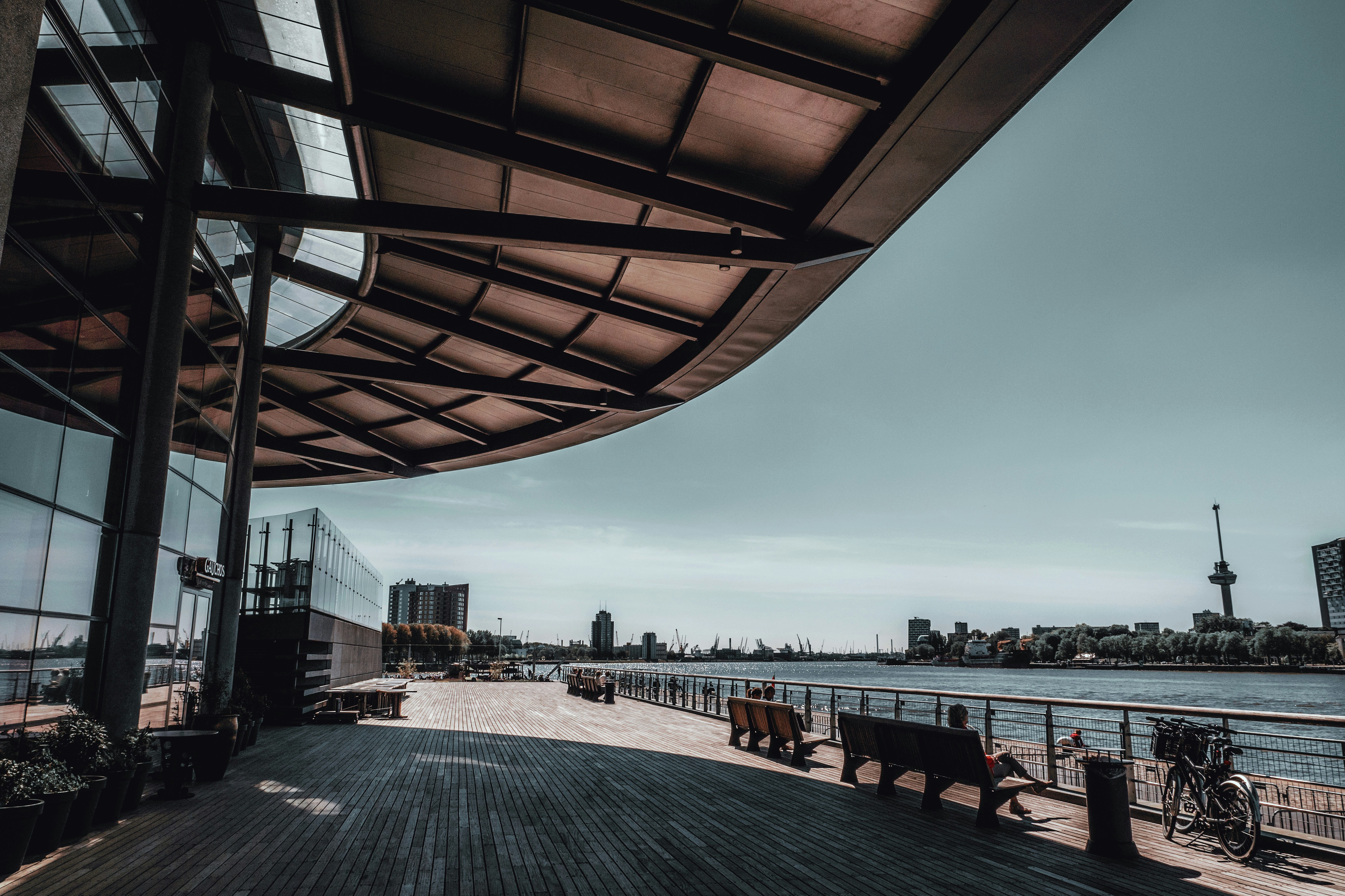 people sitting on chairs near beach during daytime
