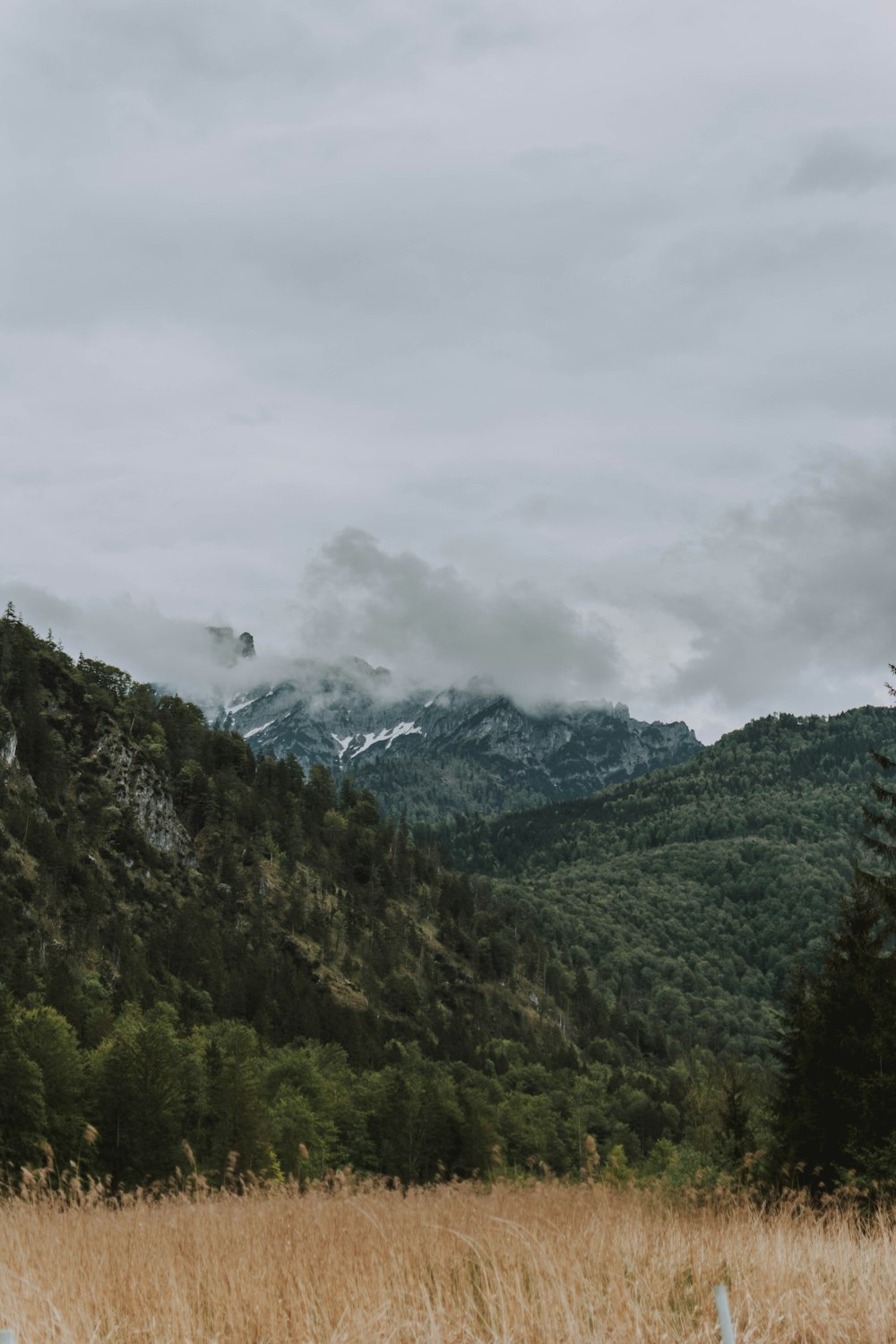 green trees on mountain under cloudy sky during daytime