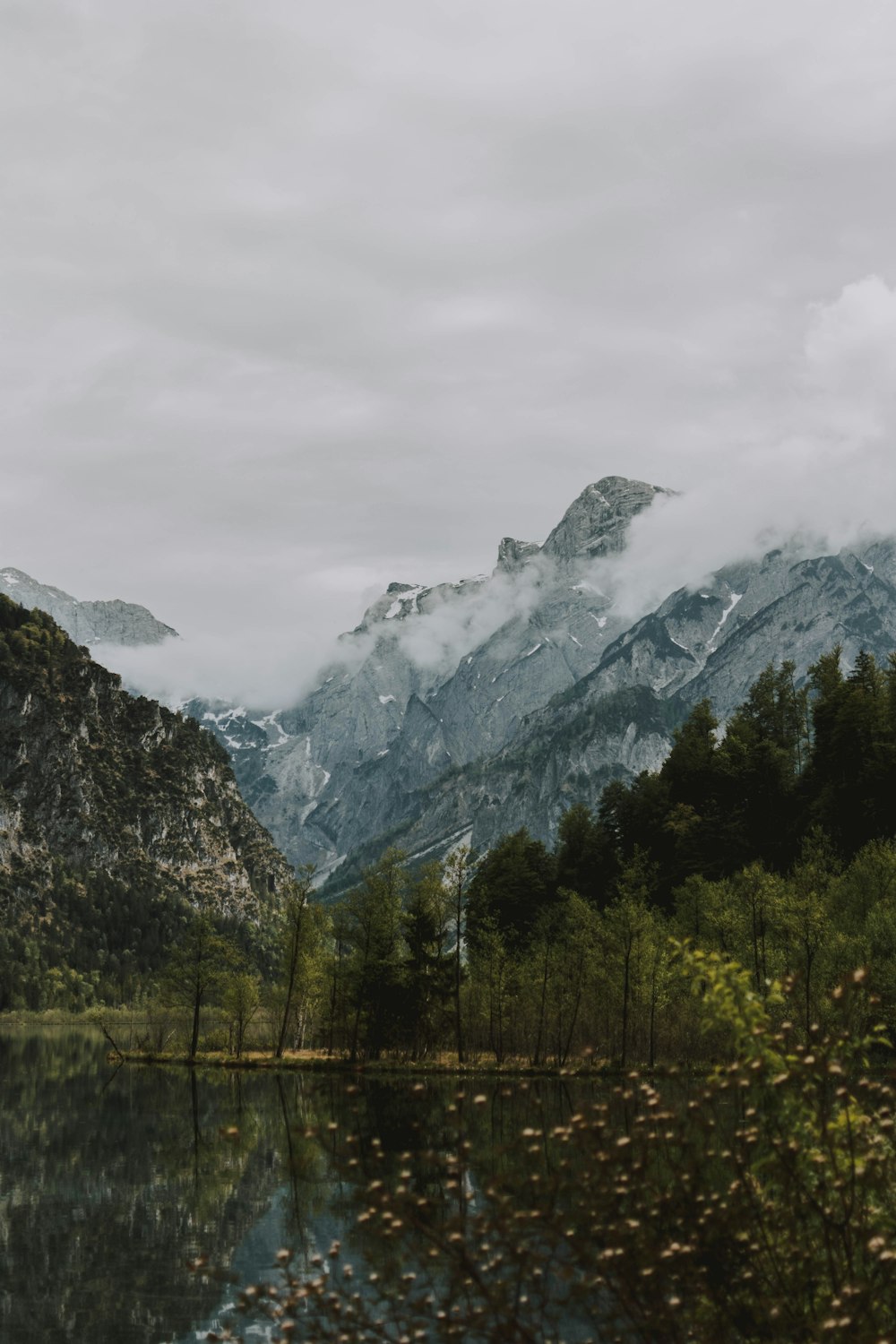 green trees near snow covered mountain during daytime