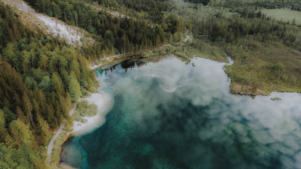 aerial view of green trees and lake