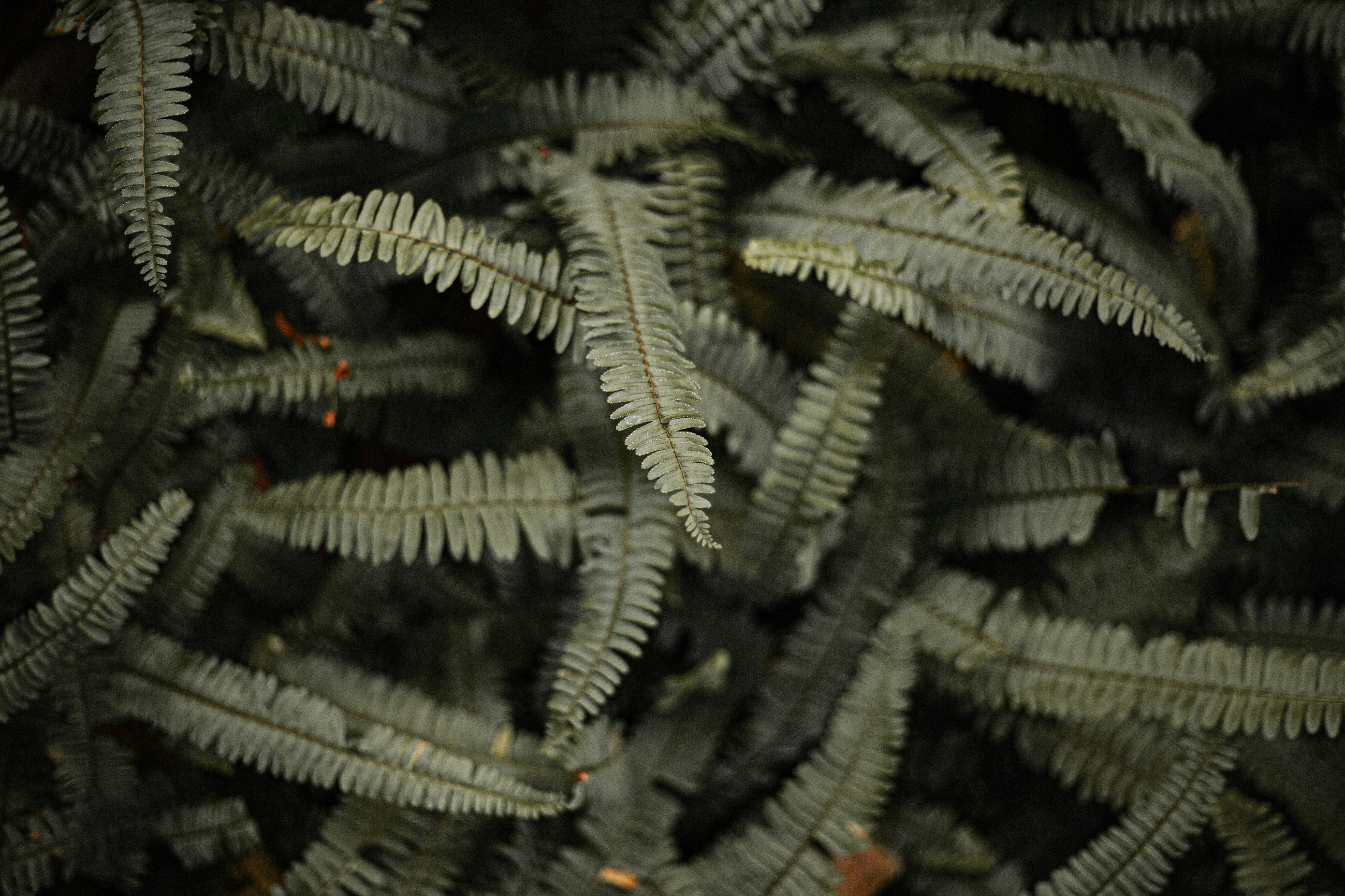 Photo by vinomamba24