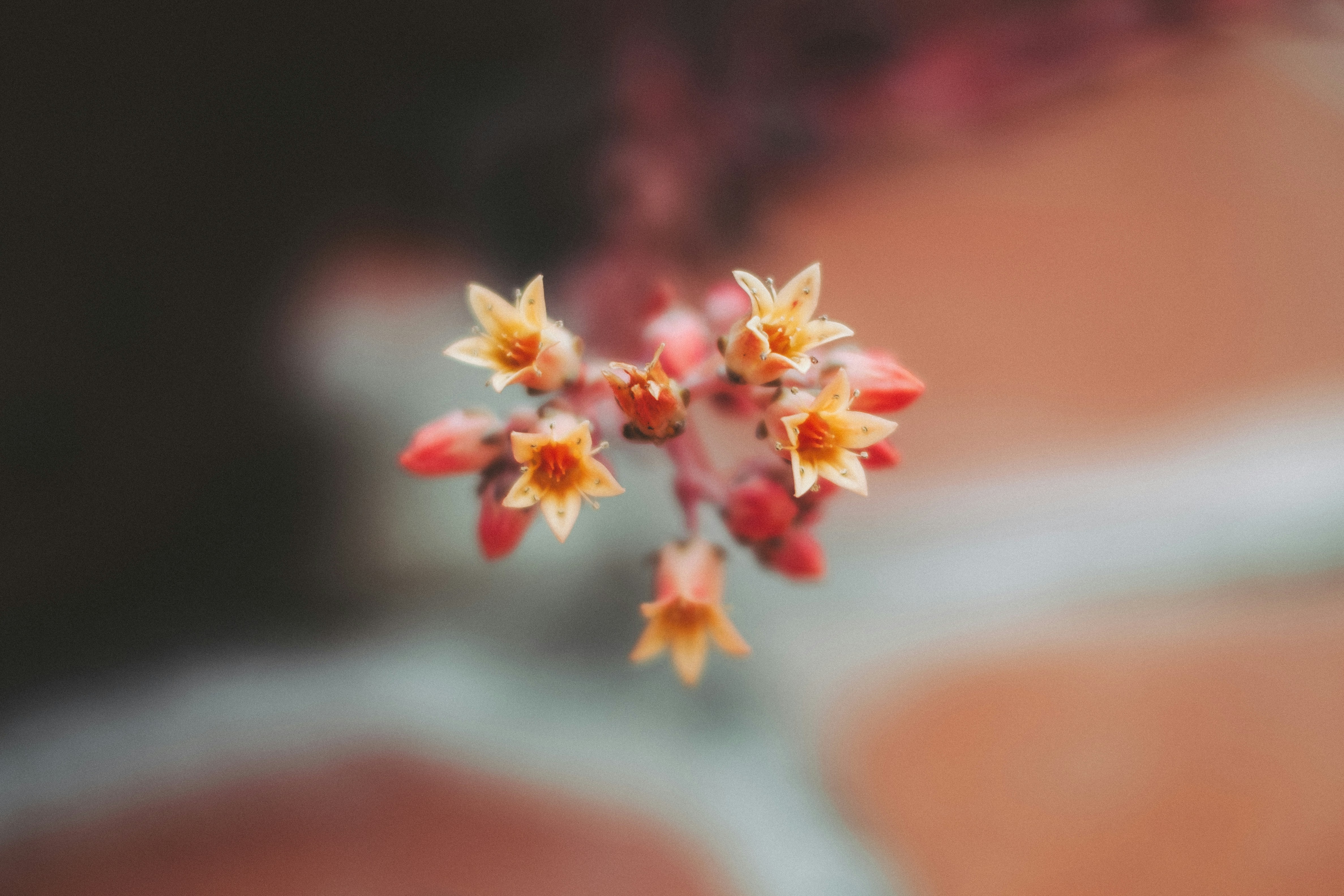 Photo by invisibleocean