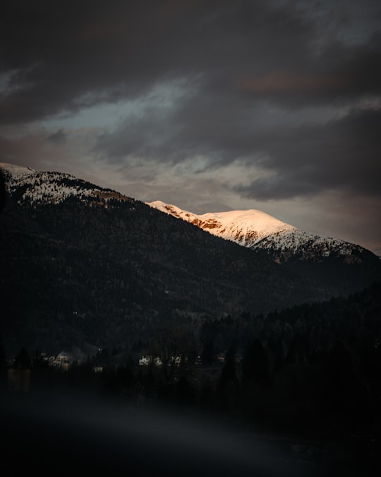 green trees near mountain under cloudy sky during daytime in Monte Zoncolan Italy