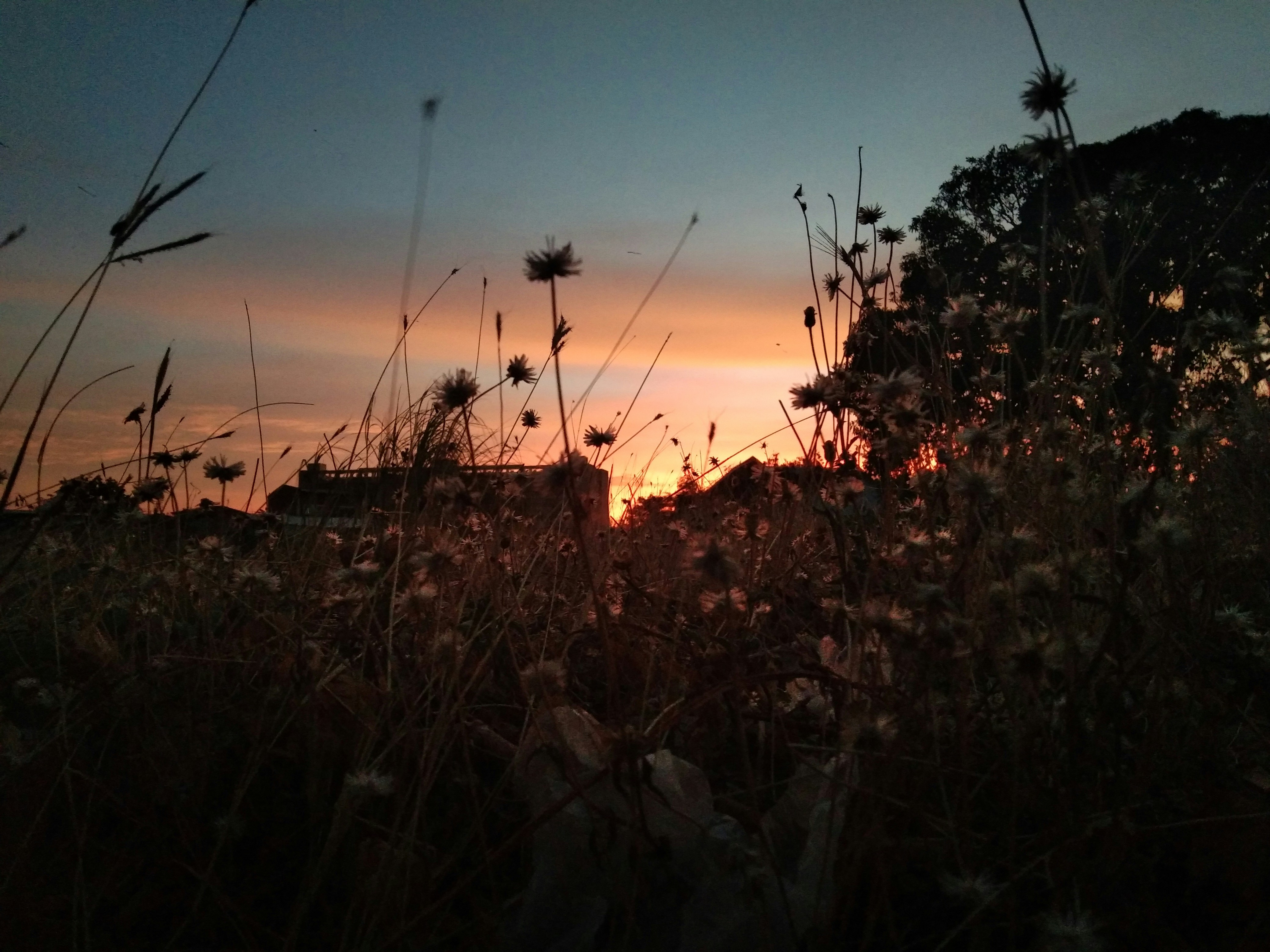 Photo by ezekiel30