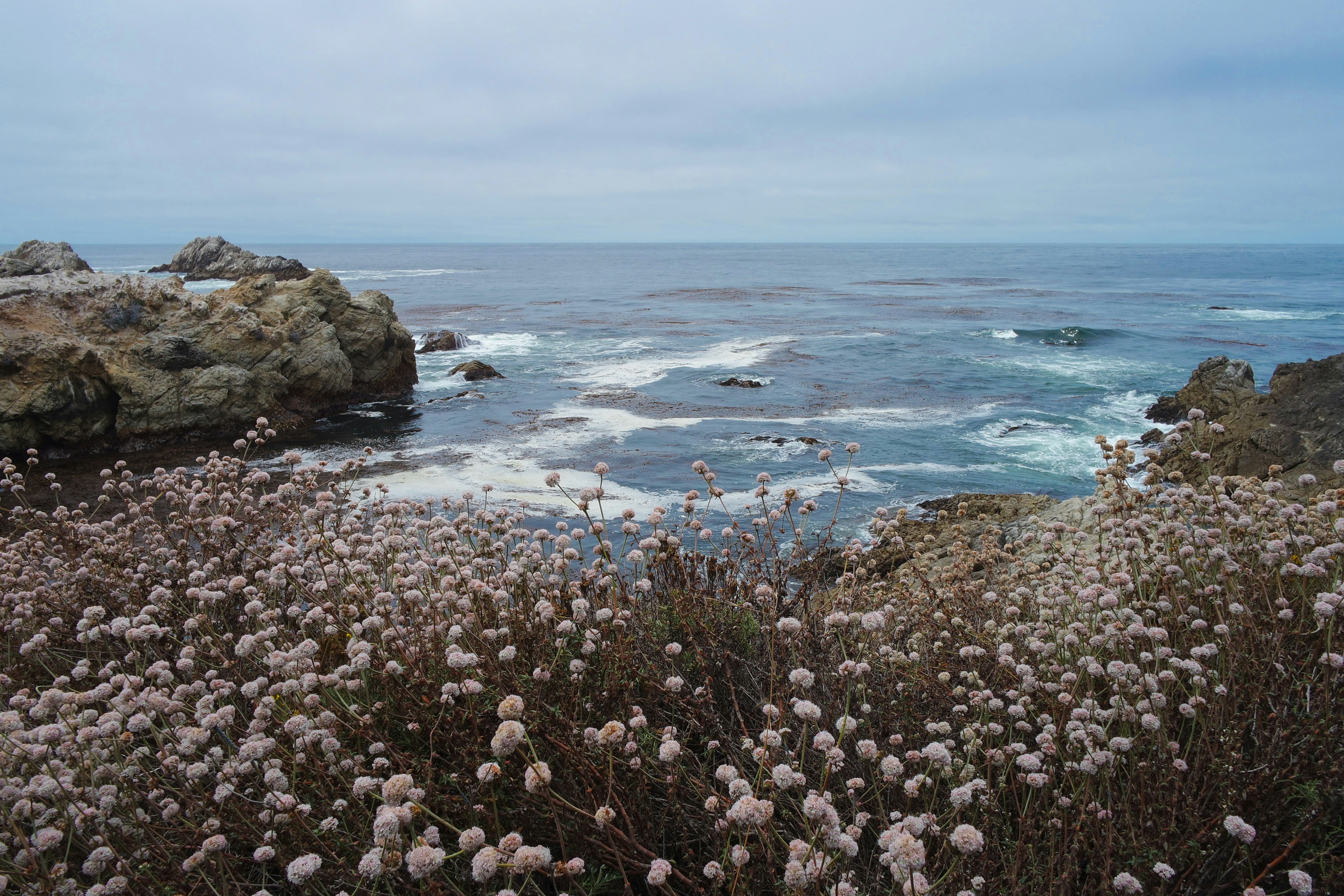 brown and white rocks on seashore during daytime