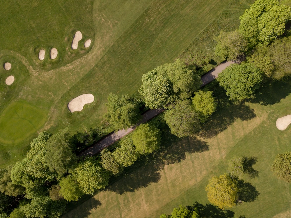 Veduta aerea del campo di erba verde durante il giorno