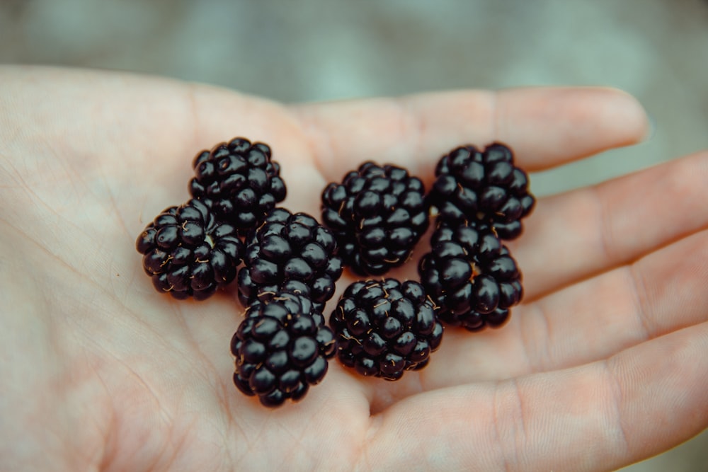 black round fruits on persons hand