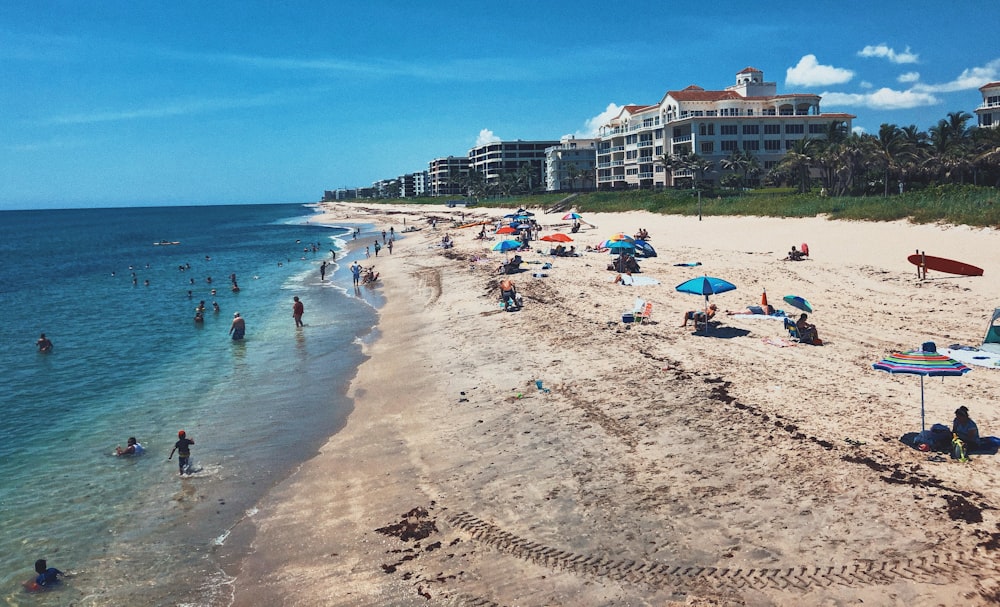 people on beach during daytime