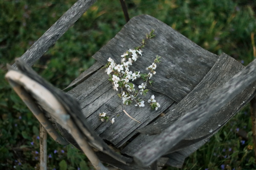 white flowers on brown wooden table