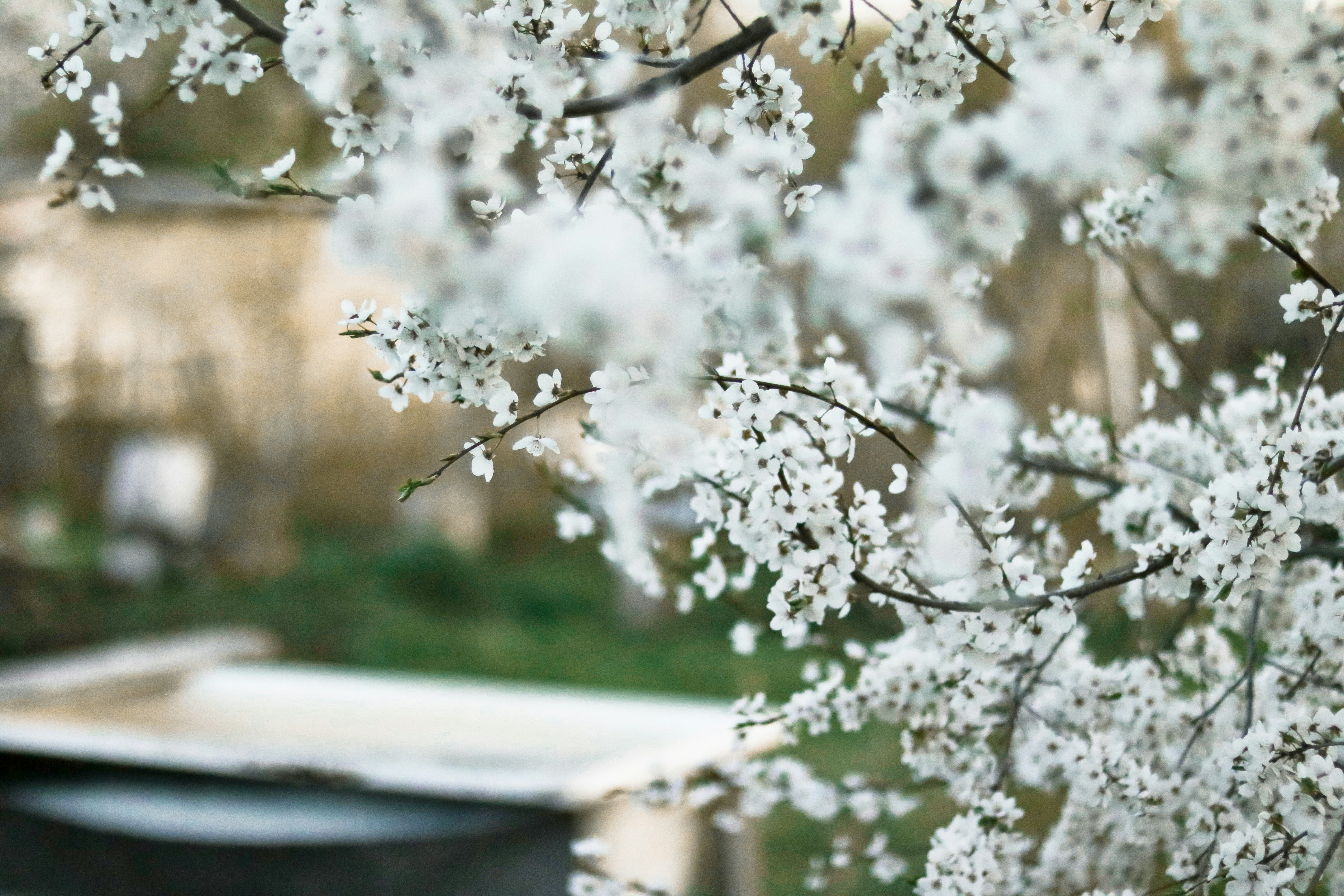 Photo by dary4309884