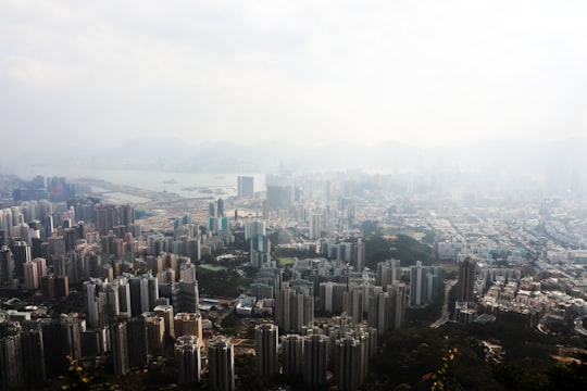 aerial view of city buildings during daytime in Lion Rock Country Park Hong Kong