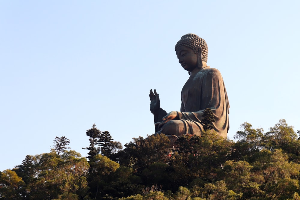 Statue de Bouddha sur un champ d’herbe verte pendant la journée
