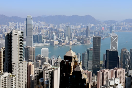 aerial view of city buildings during daytime in Victoria Peak Hong Kong