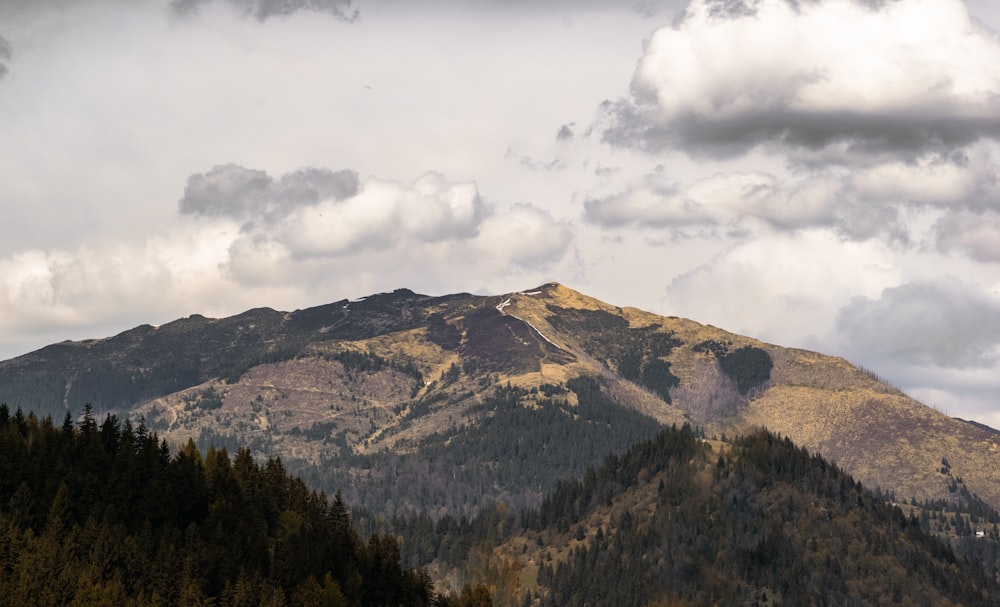 green trees on mountain under cloudy sky during daytime