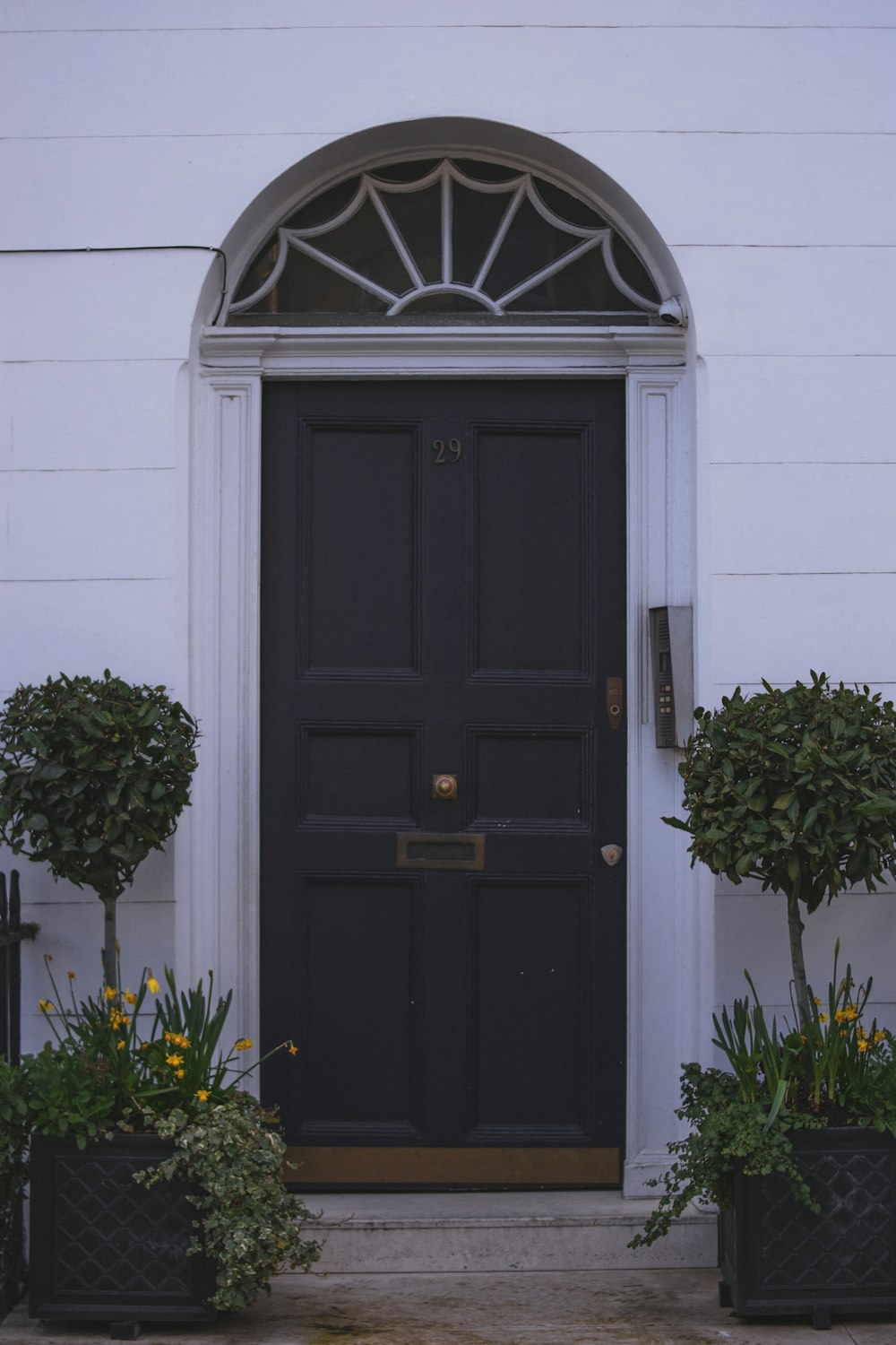 black wooden door with green plant