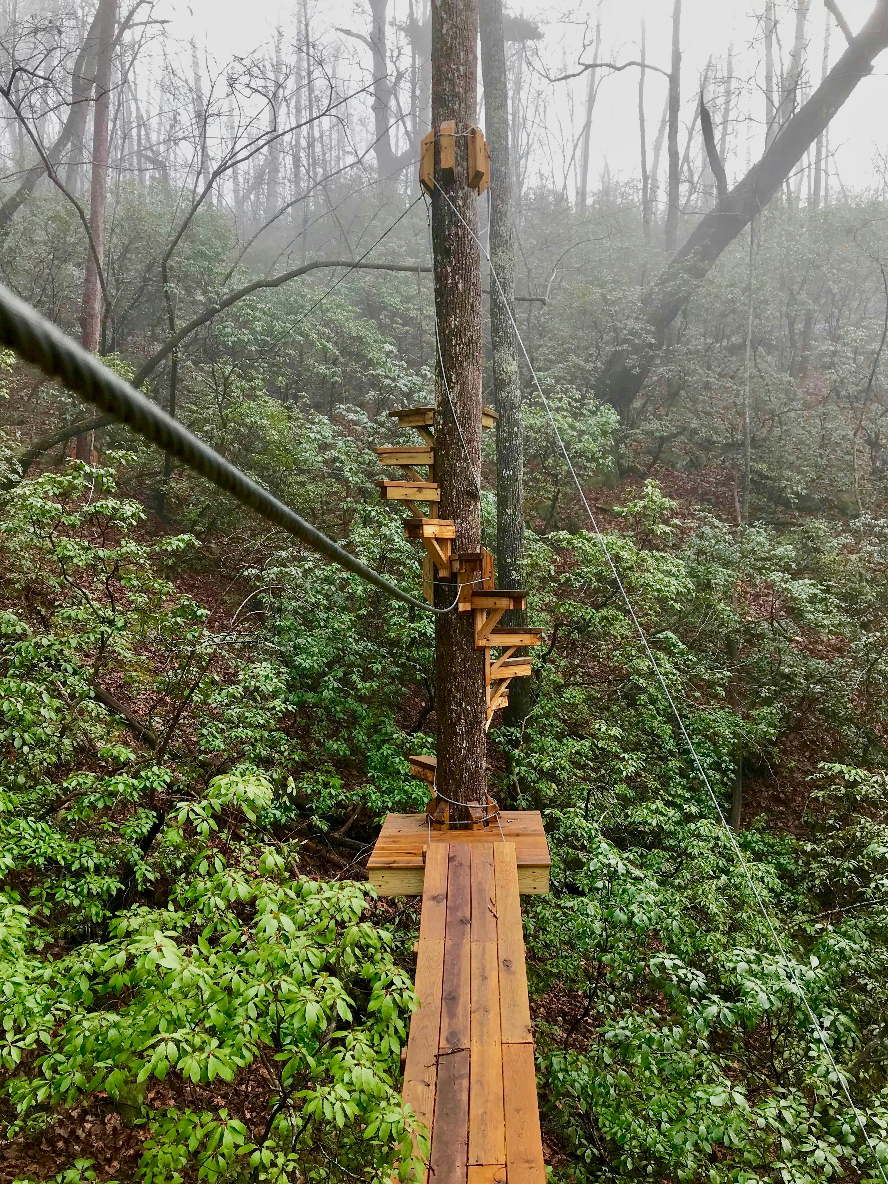 brown wooden bridge over green trees during daytime
