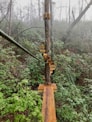 brown wooden bridge over green trees during daytime