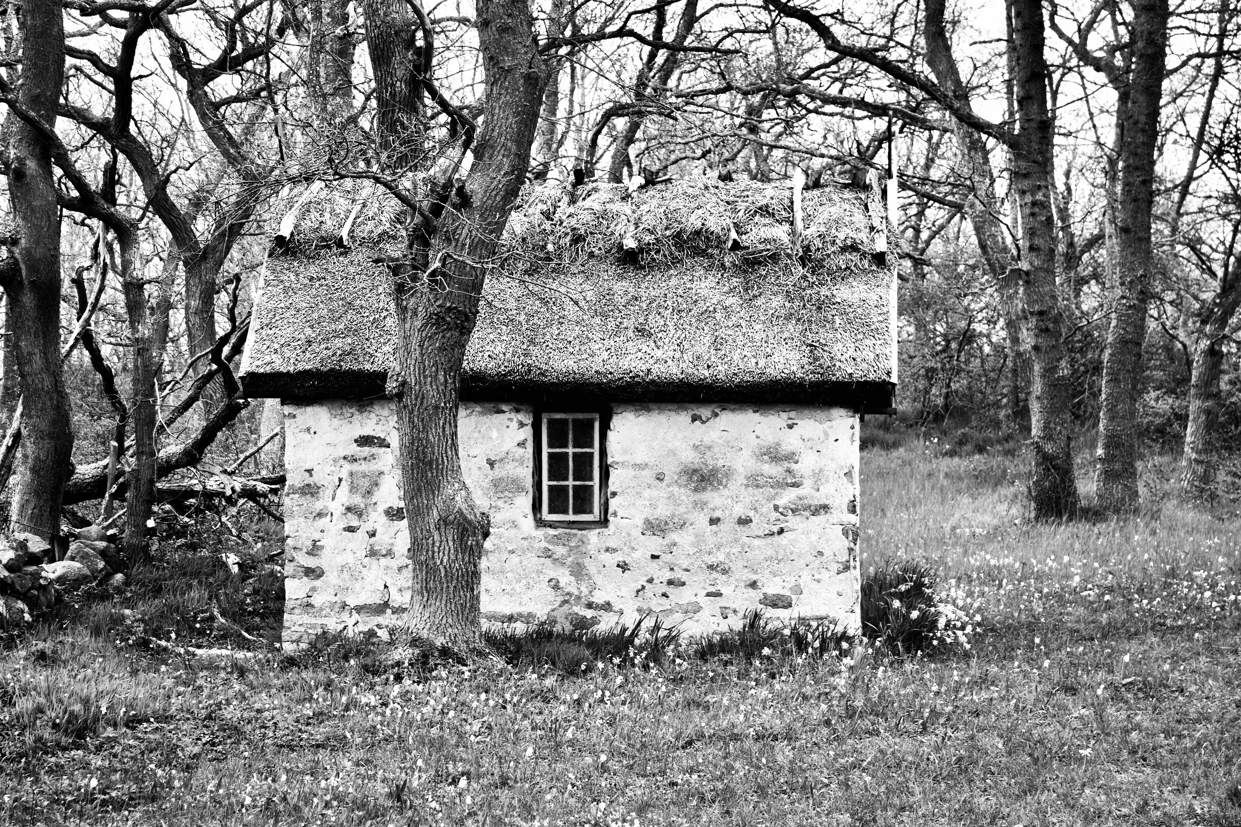 Photo by gunnarlindebo