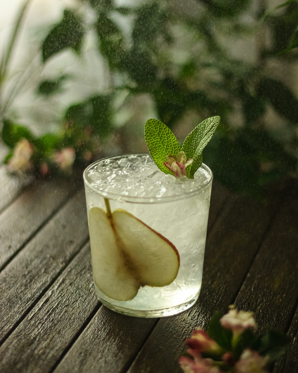흰색 세라믹 접시에 얼음과 녹색 잎이 있는 투명한 음료수 유리