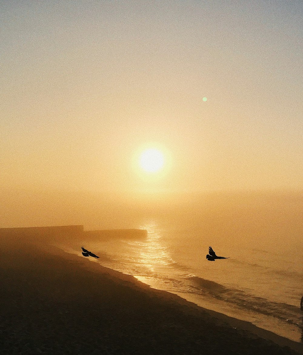 pessoa surfando no mar durante o pôr do sol