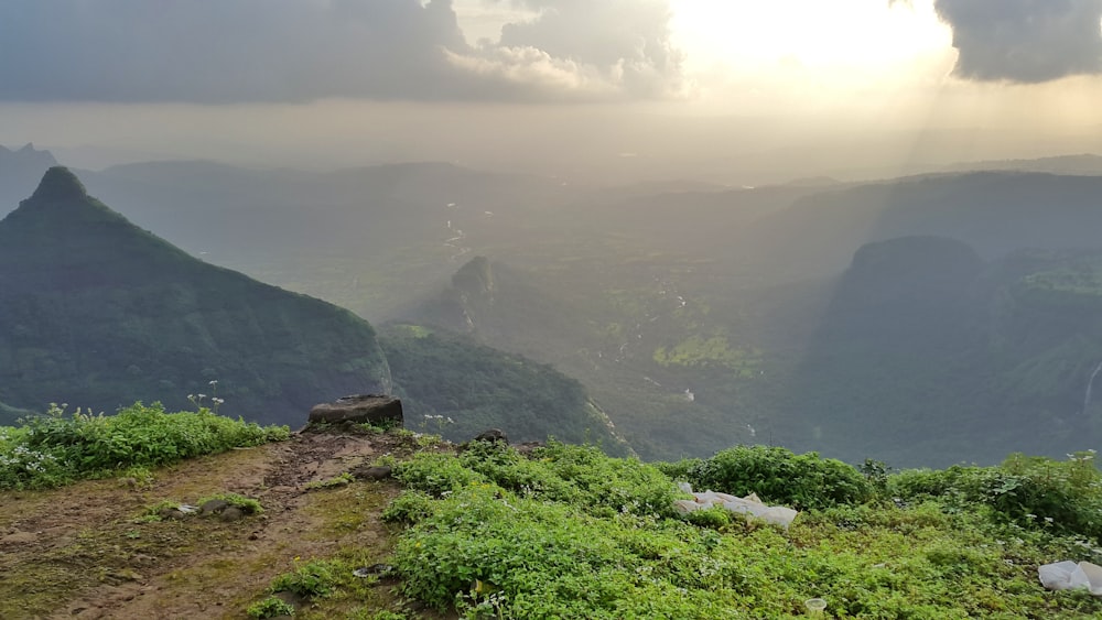 green grass on mountain during daytime