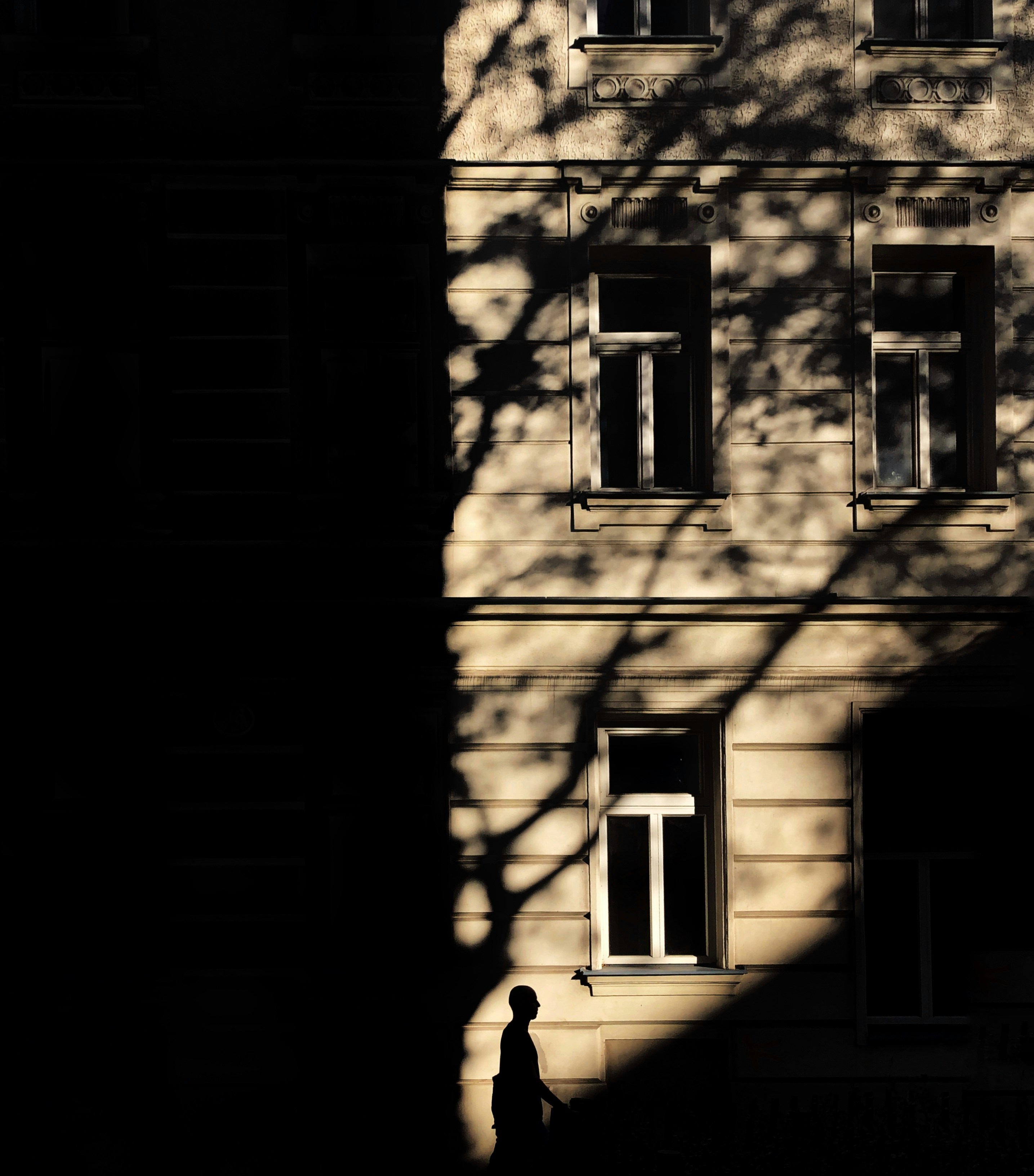 Photo by shandranick