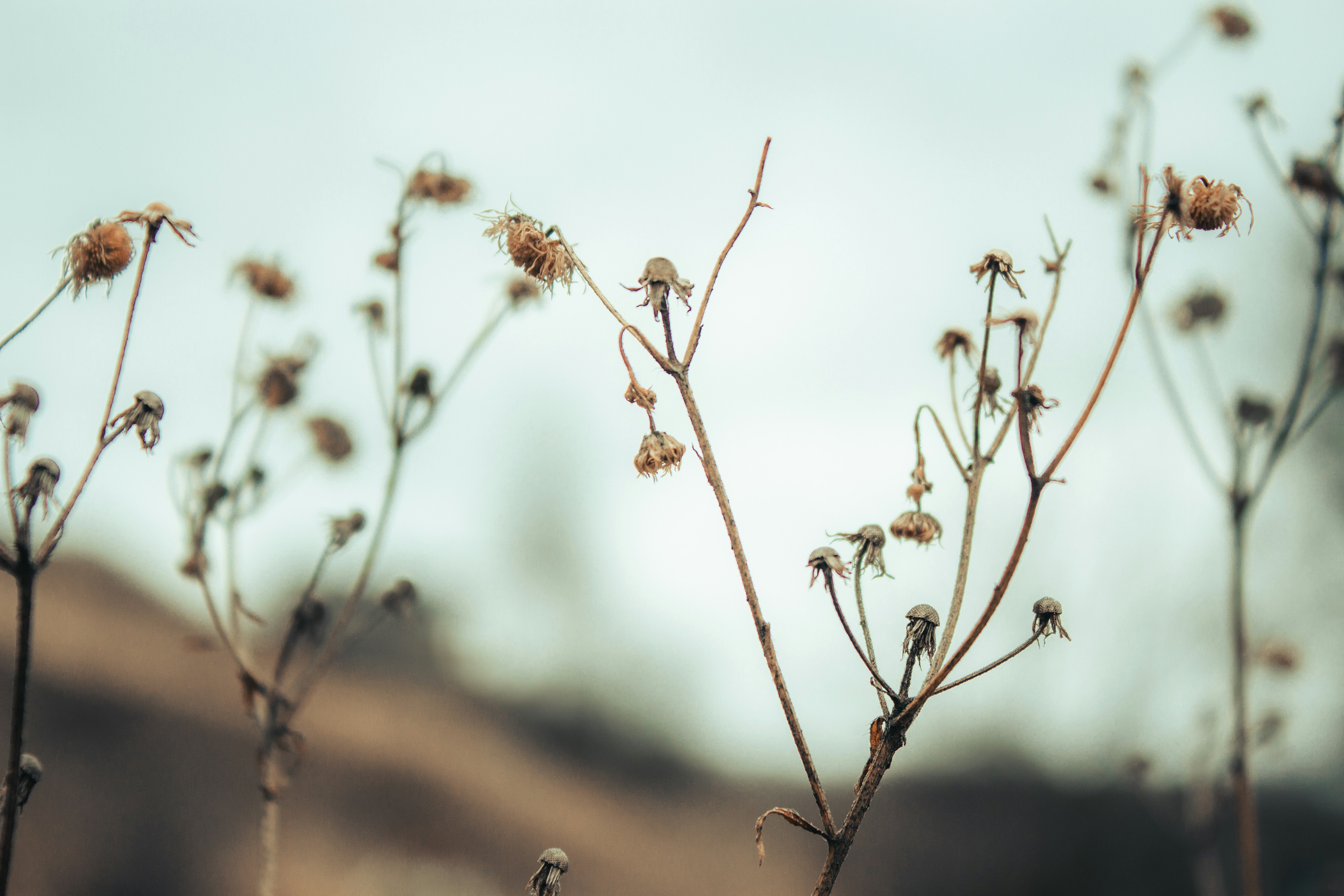 Photo by whereispykh