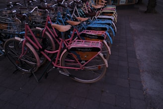 A row of refurbished bicycles displayed outdoors on a sunny day.