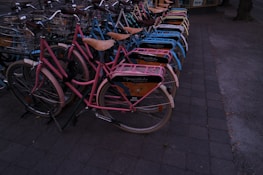 A row of various bicycles including mountain bikes and road bikes ready for service.
