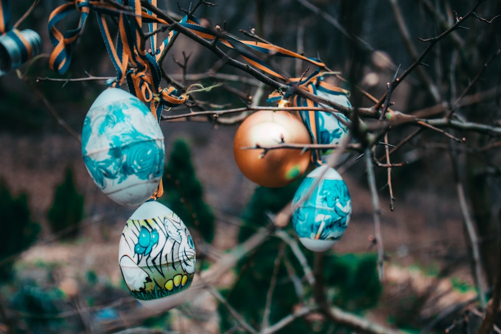blue and white egg on brown tree branch